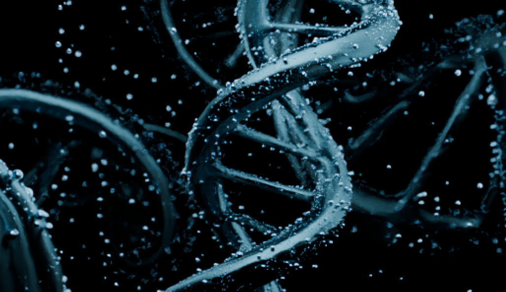 Dna Strand genertor animated