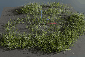 SendNodes curve based instancer